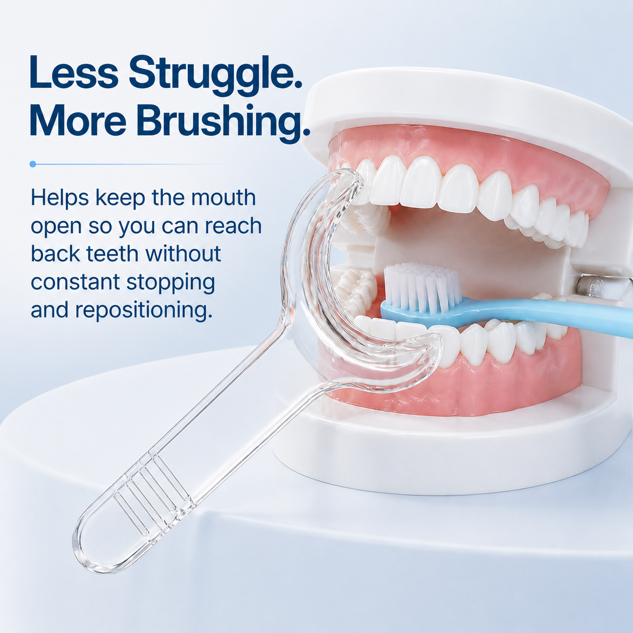 BrushBuddy holds a dental model open so brushing can reach the back teeth