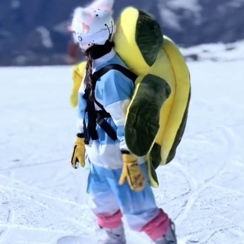 pik Verliefd bereiden Snow Buddy Turtle Protector – Zilarr
