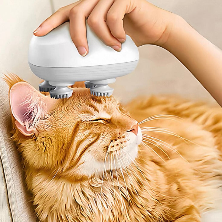 PurrVibe Massager