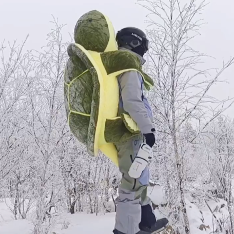 pik Verliefd bereiden Snow Buddy Turtle Protector – Zilarr